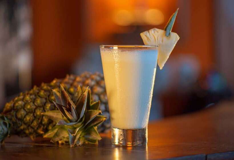 בית מלון כפרי Pousada Villa Maeva Itacimirim