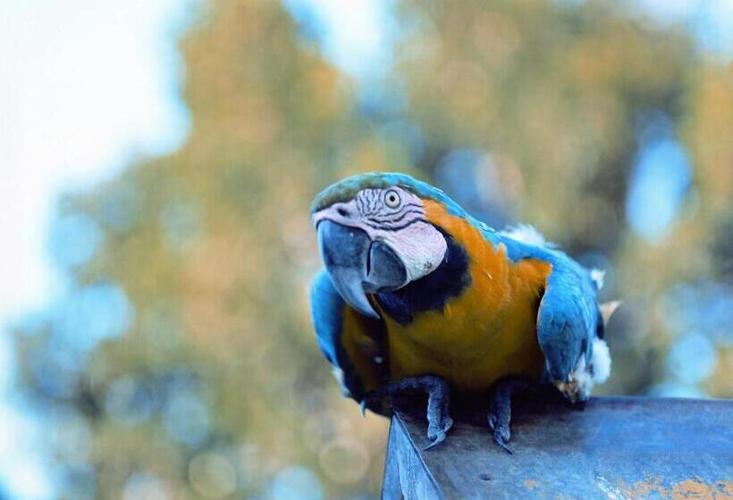 Отель Vale Do Jiquiriçá