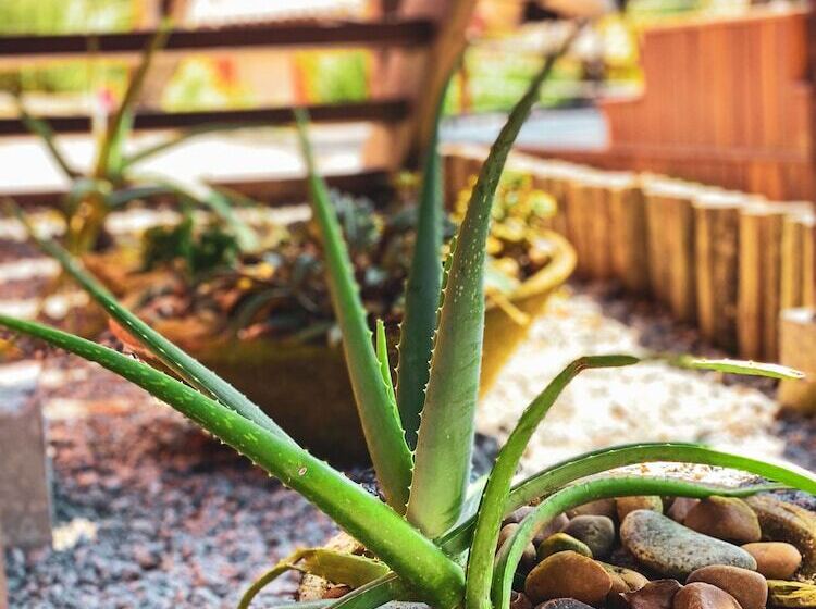 ホテル Calador Buzios