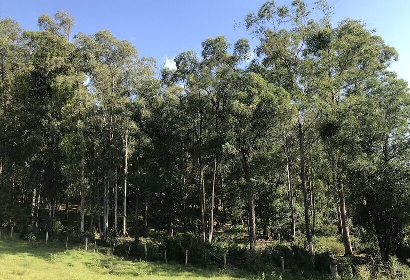 ホテル Morada Del Este