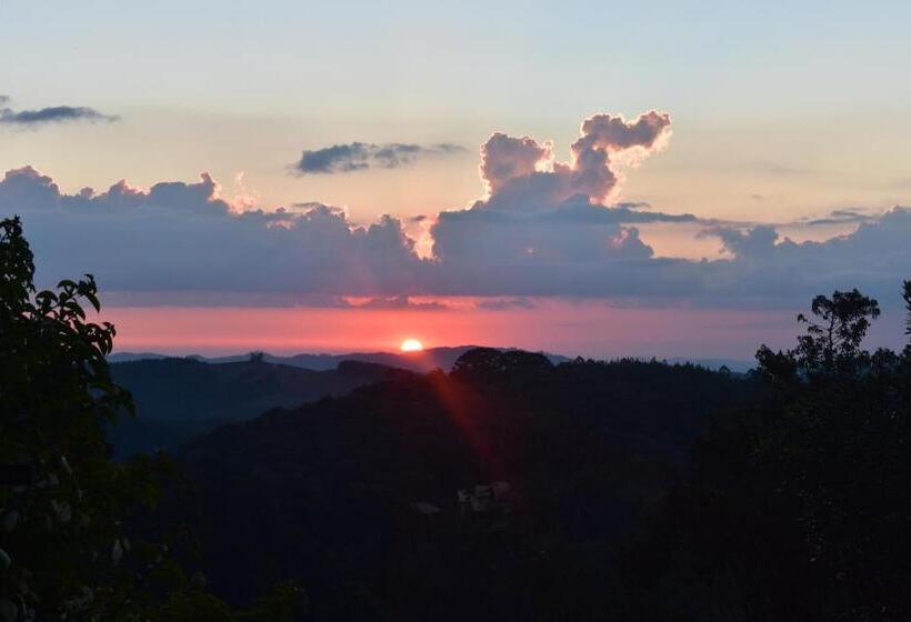 Hôtel Pousada Amanita Monte Verde