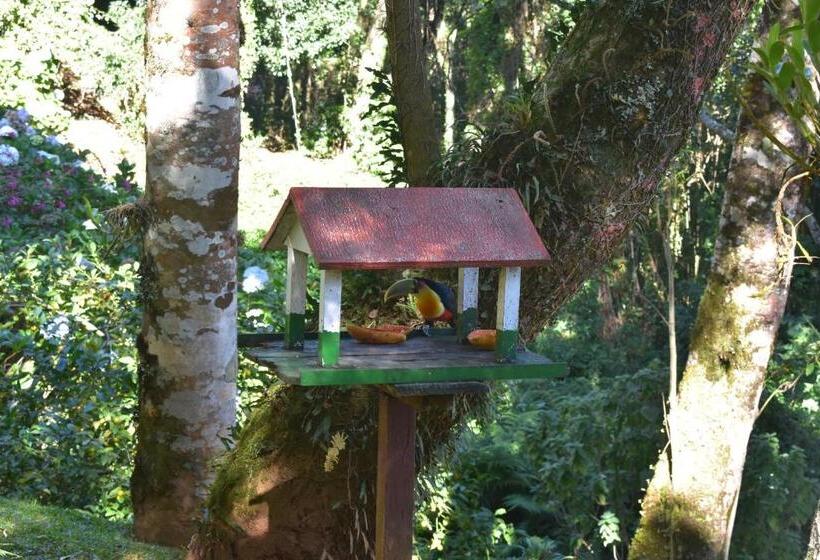 Hôtel Pousada Amanita Monte Verde