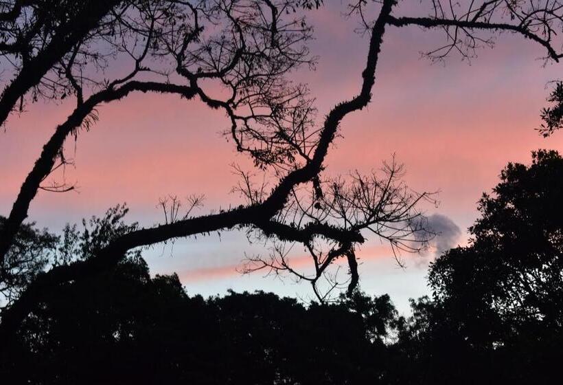 Hôtel Pousada Amanita Monte Verde