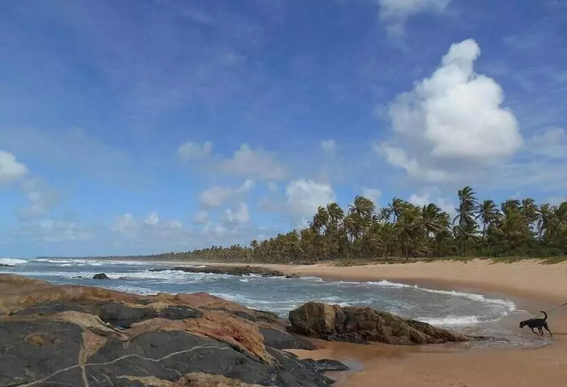 ホテル Pousada Araçás Village