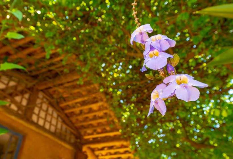 Hotel Pousada Canto Bravo