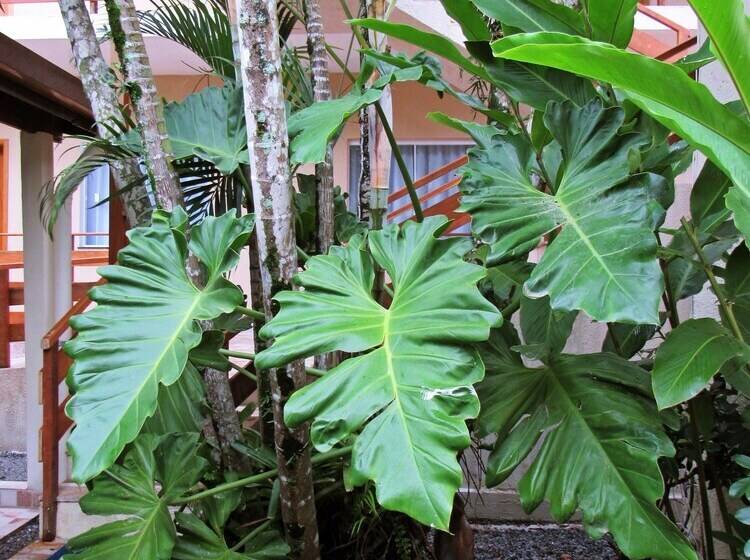 Hotel Pousada Do Pinheiro