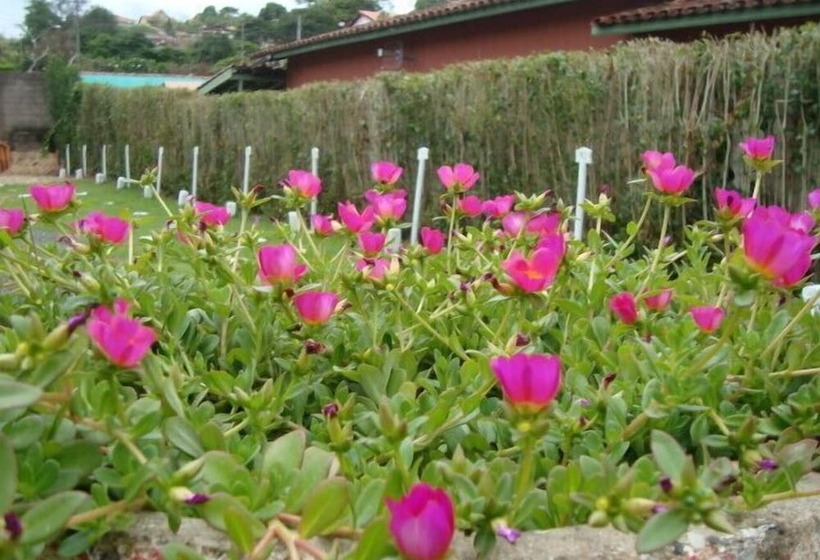 호텔 Pousada Renascença