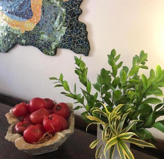 هتل Pousada Vila Brasil