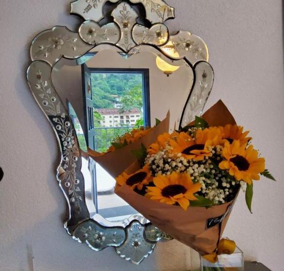 هتل Pousada Vila Brasil