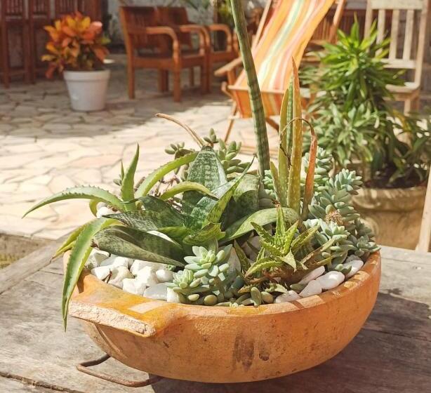 ペンション Guest House Orquídea