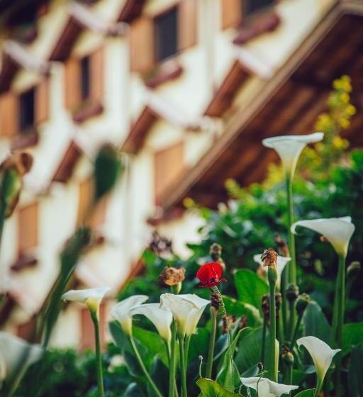 בית מלון כפרי Guanxi