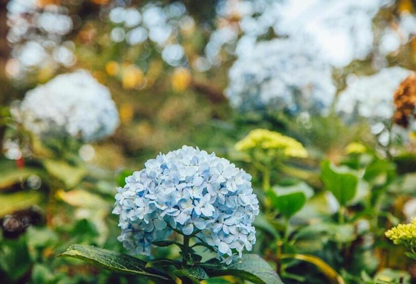 בית מלון כפרי Guanxi