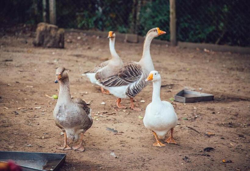 בית מלון כפרי Guanxi