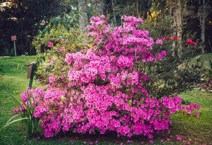 בית מלון כפרי Guanxi