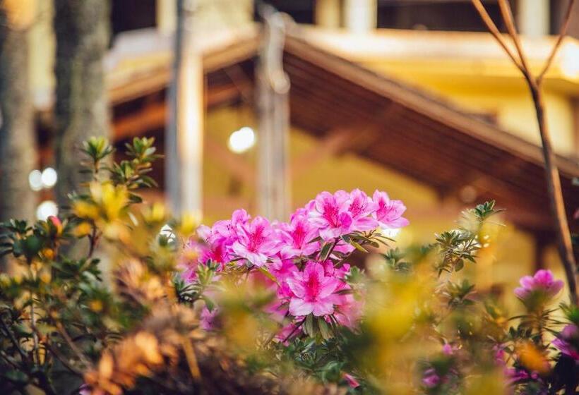 בית מלון כפרי Guanxi