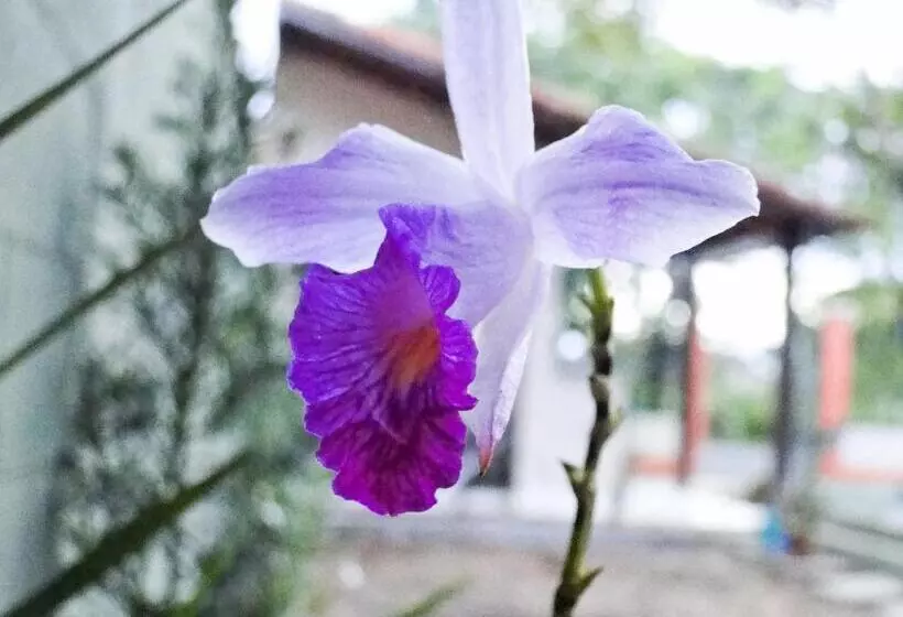 ホテル Pousada Casa Do Bosque
