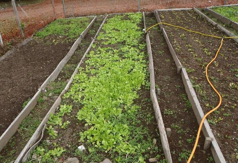 Hotel Villa Michelon