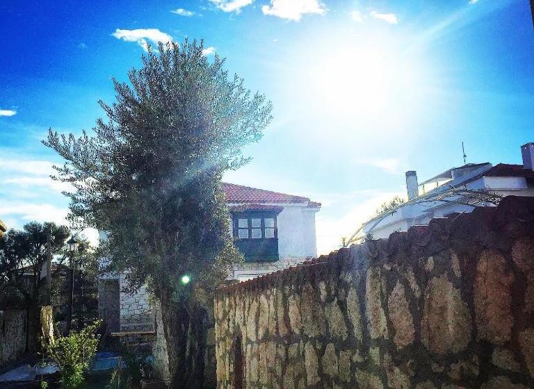 Aamiaismajoitus (B&B) Boreas Butik Hotel   Adults Only