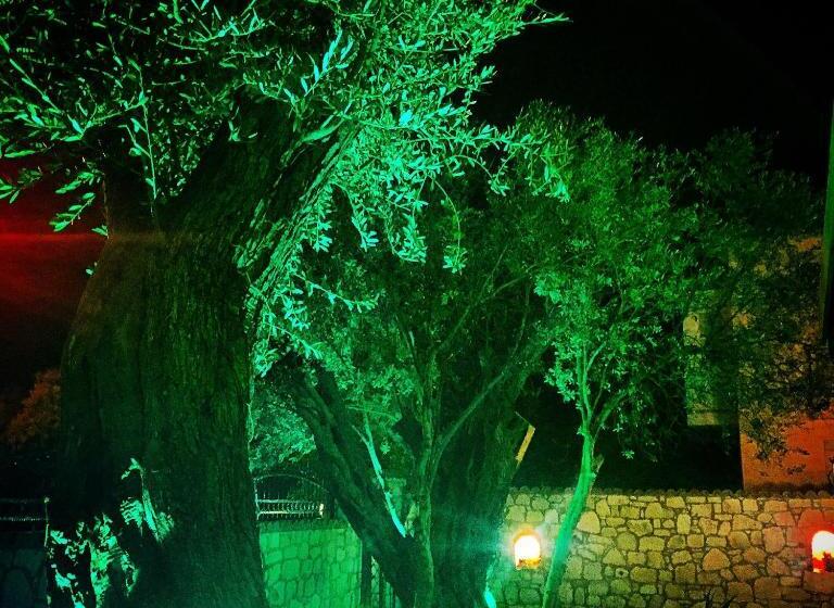 Aamiaismajoitus (B&B) Boreas Butik Hotel   Adults Only