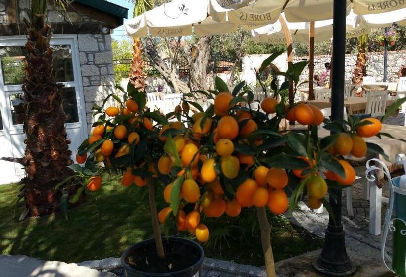 Aamiaismajoitus (B&B) Boreas Butik Hotel   Adults Only