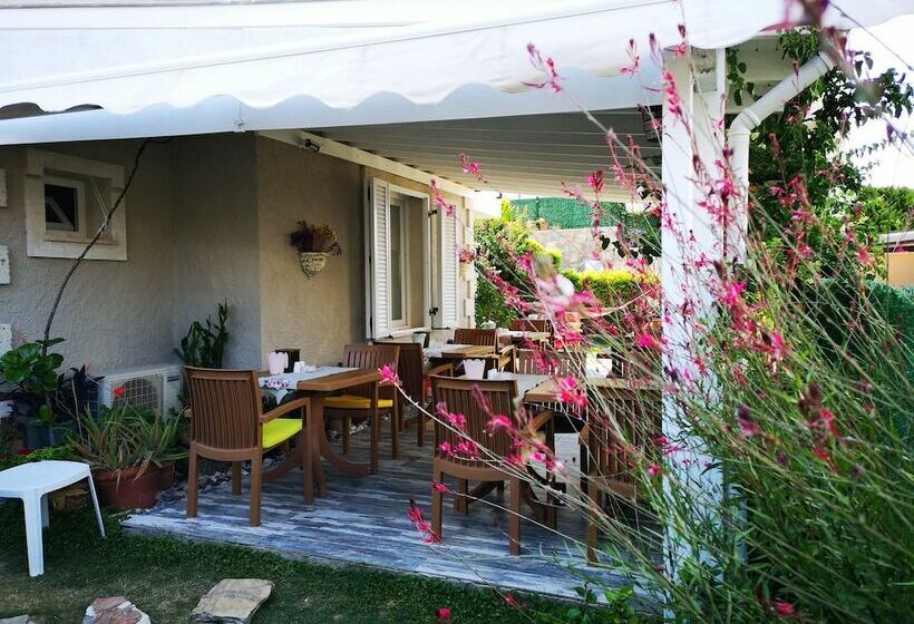 住宿加早餐  Kandira Butik