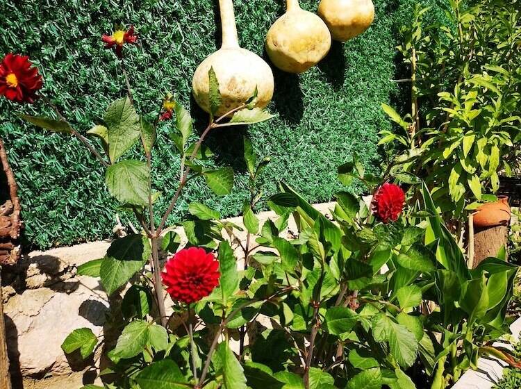 住宿加早餐  Kandira Butik