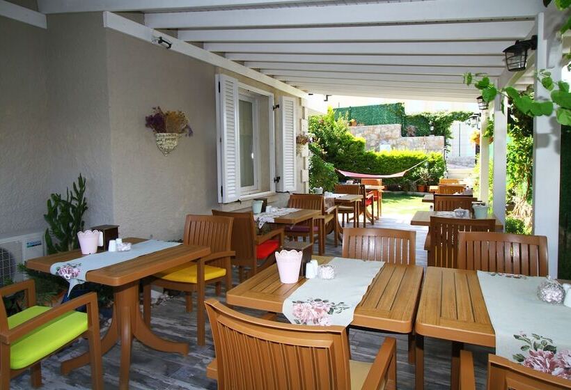 住宿加早餐  Kandira Butik