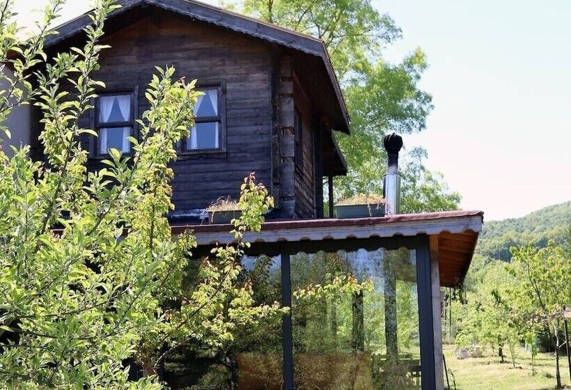 تختخواب و صبحانه Vira Creek House