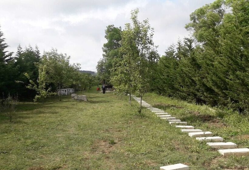 تختخواب و صبحانه Vira Creek House