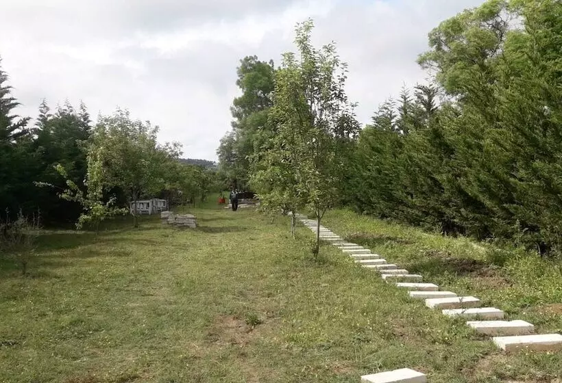 تختخواب و صبحانه Vira Creek House