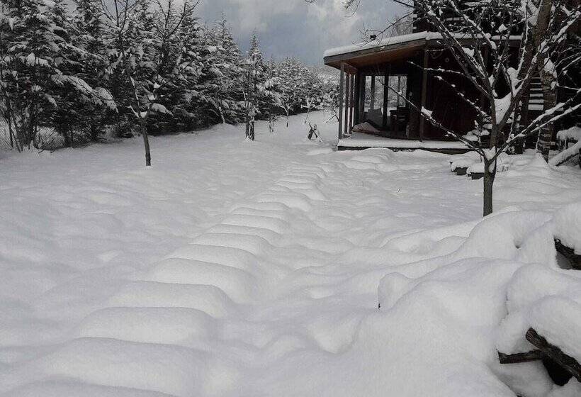 تختخواب و صبحانه Vira Creek House