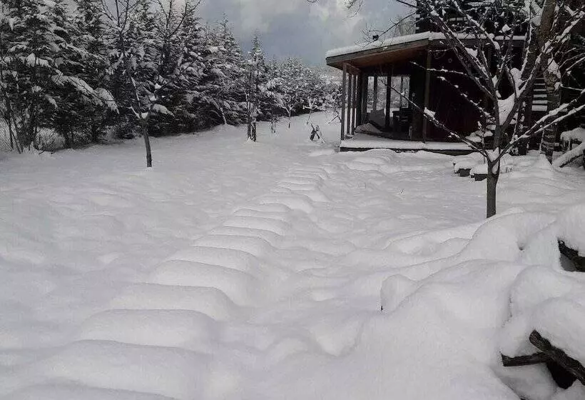 تختخواب و صبحانه Vira Creek House