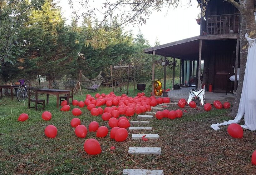 تختخواب و صبحانه Vira Creek House