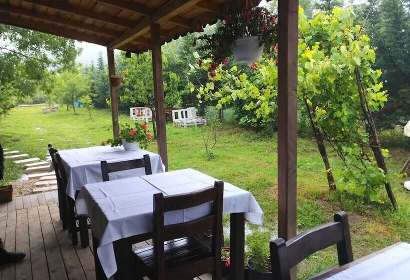 تختخواب و صبحانه Vira Creek House