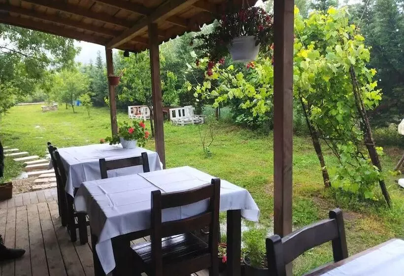 تختخواب و صبحانه Vira Creek House