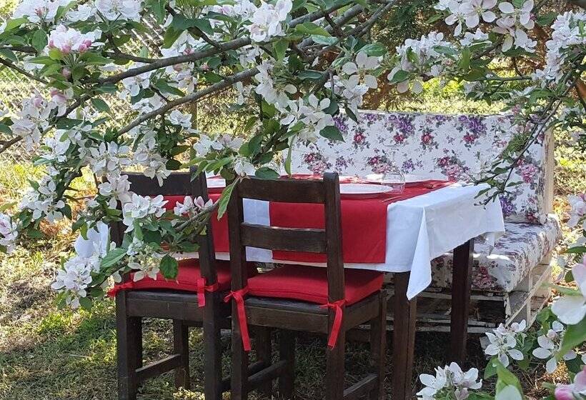 تختخواب و صبحانه Vira Creek House