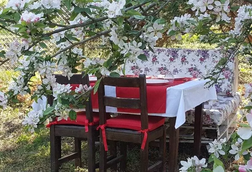 تختخواب و صبحانه Vira Creek House