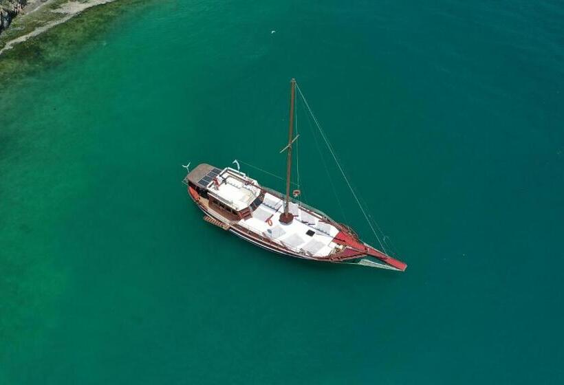 호텔 Ada Palas Buyukada