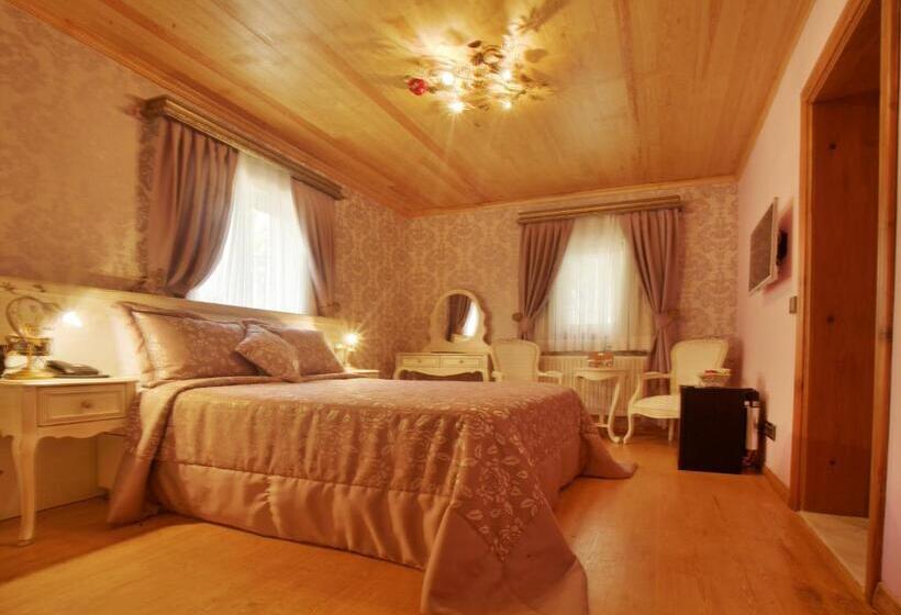 호텔 Ada Palas Buyukada