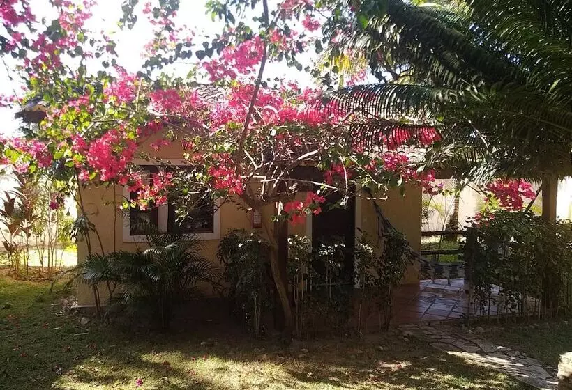 Hotelli Aquarela Do Brasil Village
