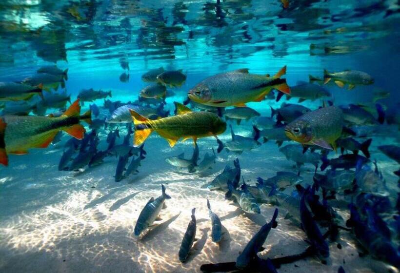 Hotel Pousada Jubaia