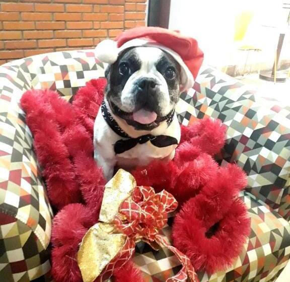 فندق Verdes Mares