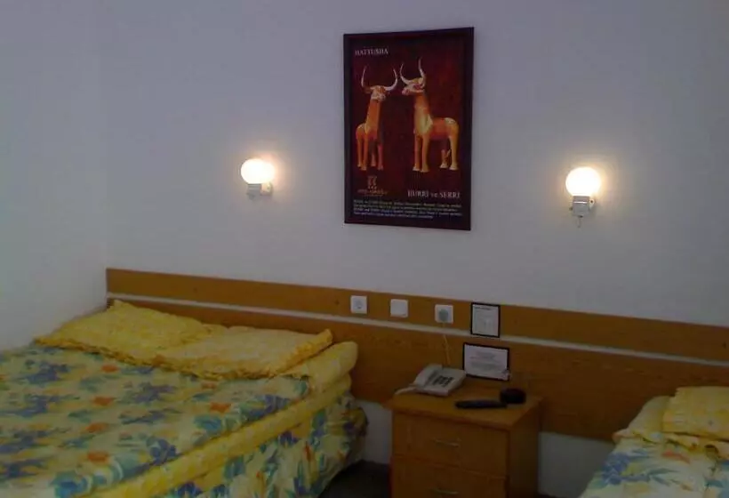 Aamiaismajoitus (B&B) Hittite Houses