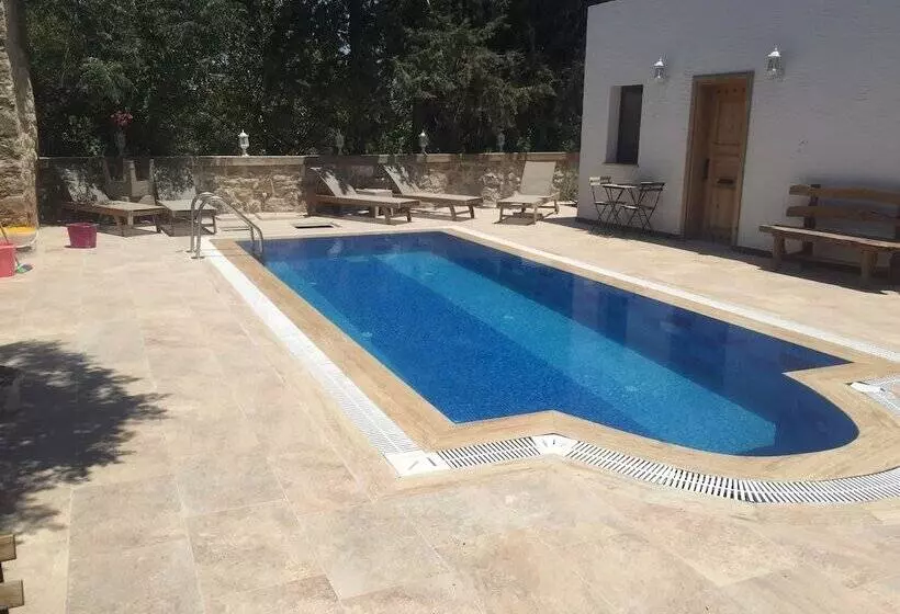 Hotel Kocca Ev