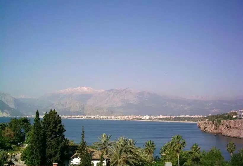هتل Villa Tulipan