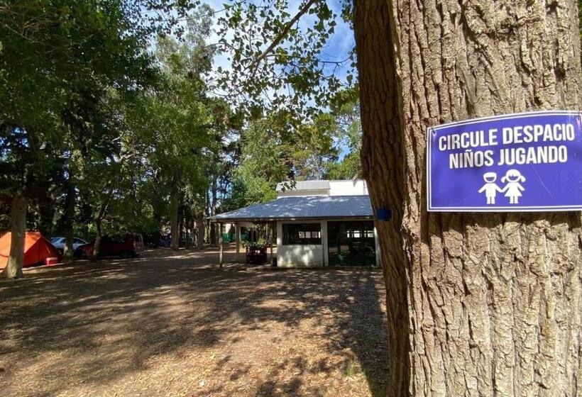 ユースホステル El Viejo Molino