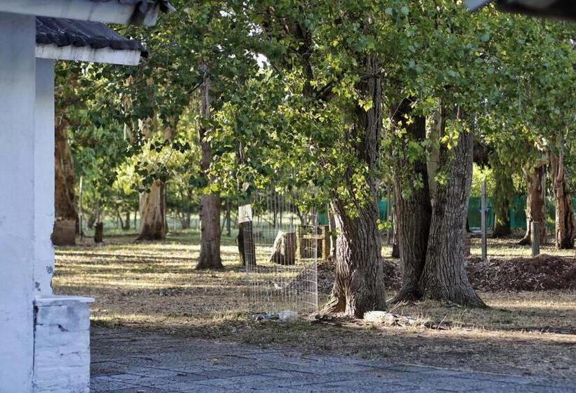 ユースホステル El Viejo Molino