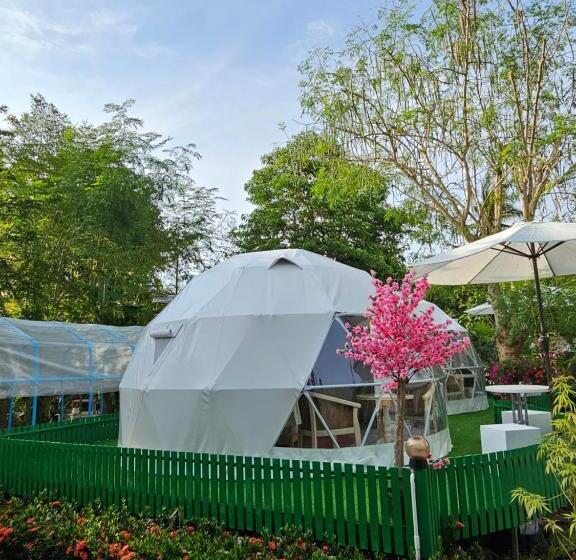 Everest Resort Samui   Sha Plus