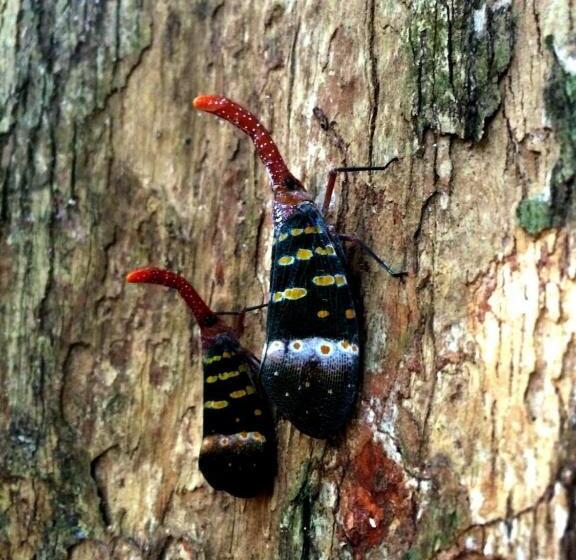 渡假胜地  Art S Riverview Lodge