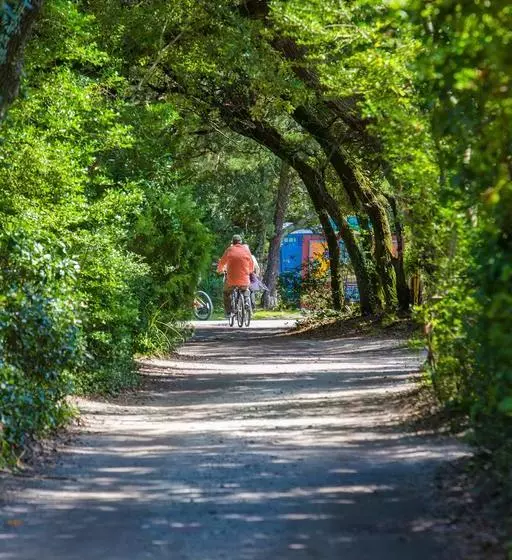 The Castle Bed & Breakfast